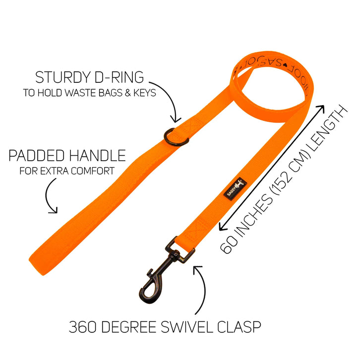 Dog Leash | Neon Orange