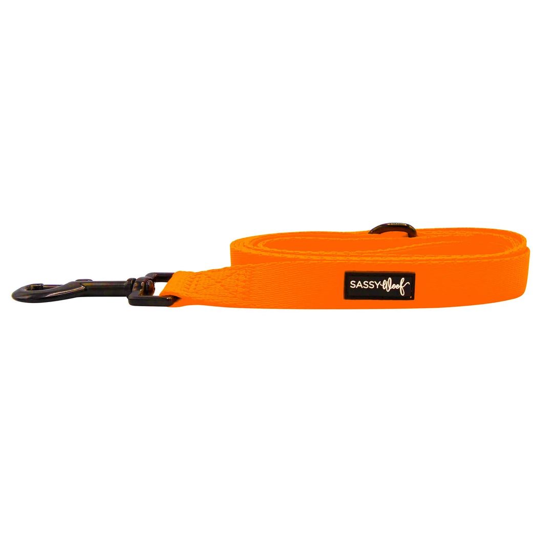 Dog Leash | Neon Orange