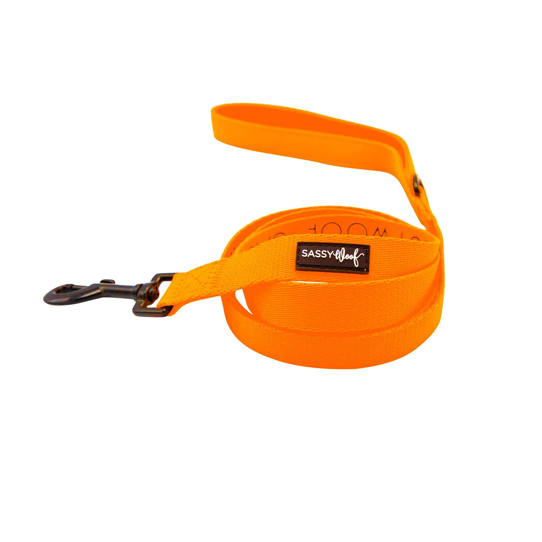 Dog Leash | Neon Orange