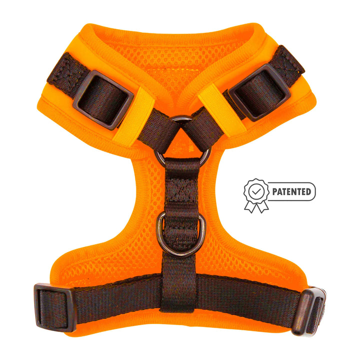 Adjustable Dog Harness | Neon Orange