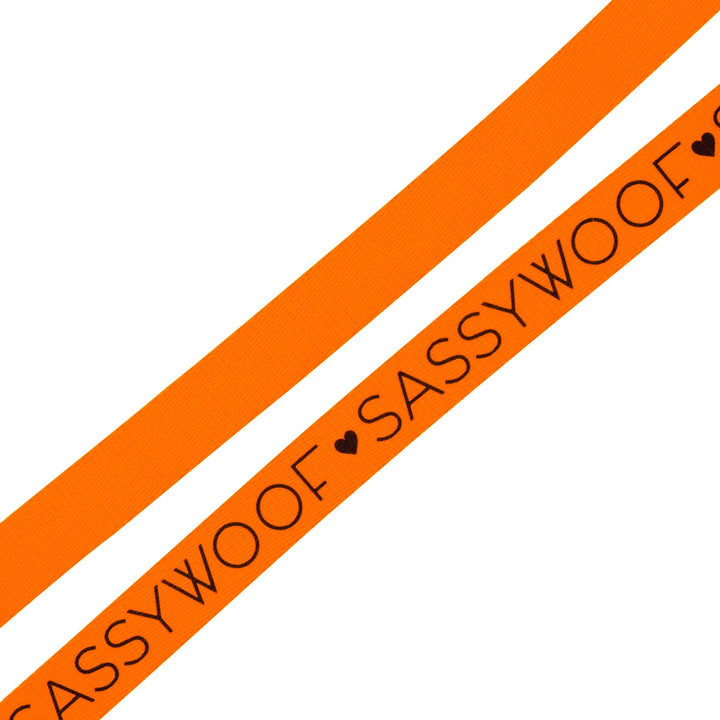 Dog Leash | Neon Orange