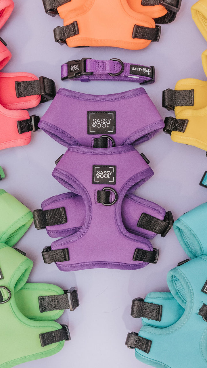 Dog Adjustable Harness | Neon Purple