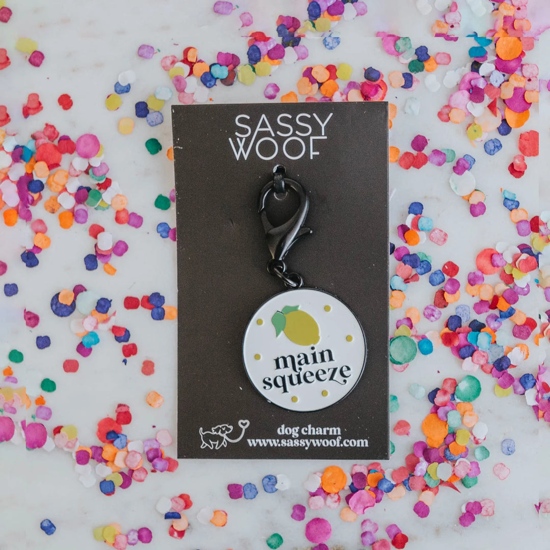 Dog Collar Tag | Main Squeeze