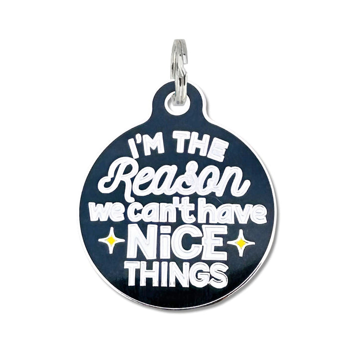 We Can't Have Nice Things Pet Tag