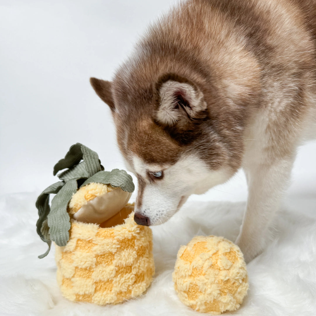 Pineapple Pop