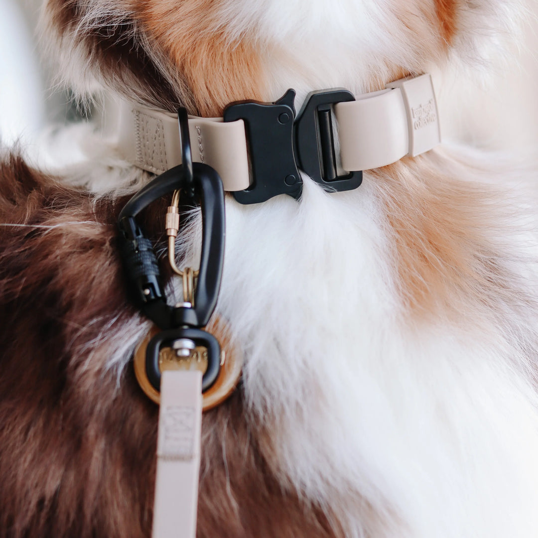 Apex | Ultralight & Skinny Leash