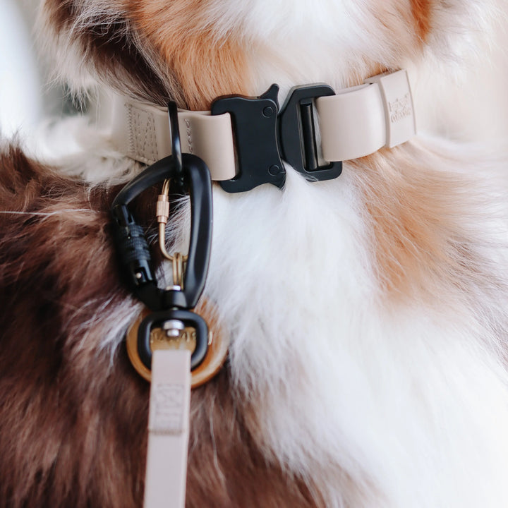 Apex | Ultralight & Skinny Leash