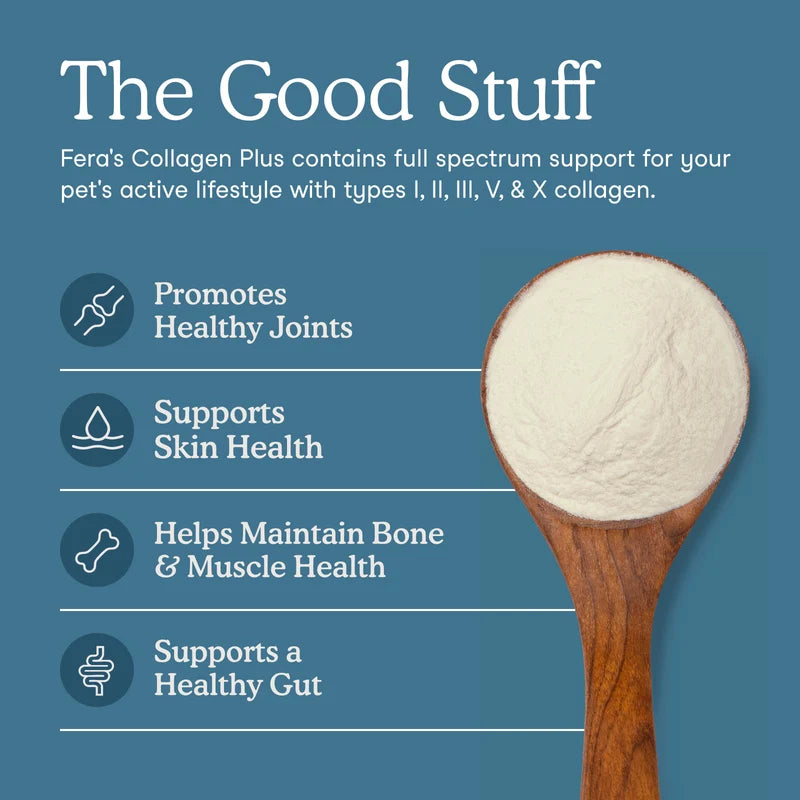 Collagen Plus