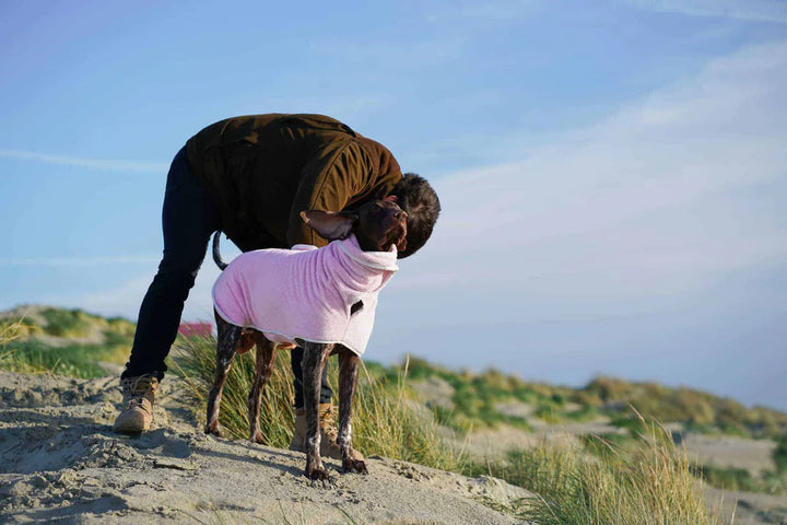 Dog Drying Coat | Bubble Gum Pink