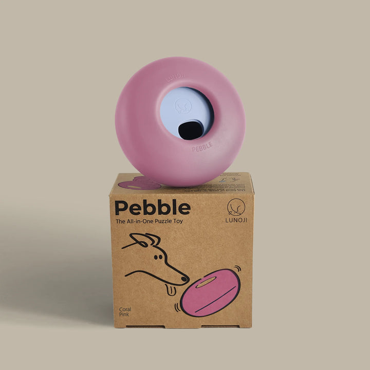 Pebble | All-in-One Puzzle Toy