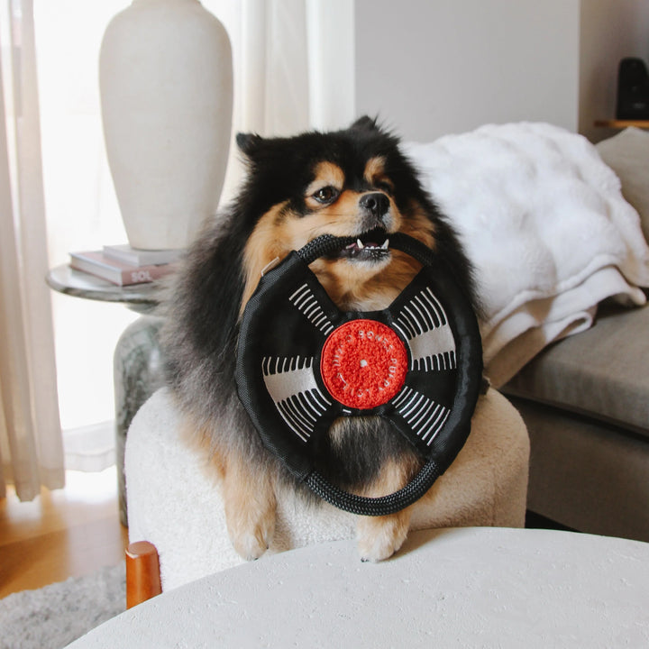 Bark to Beat