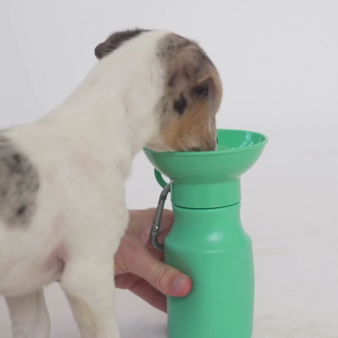 15oz Original Dog Travel Water Bottle