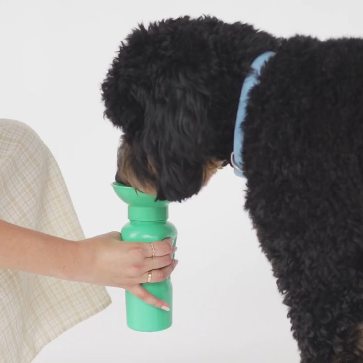 22oz Original Dog Travel Water Bottle
