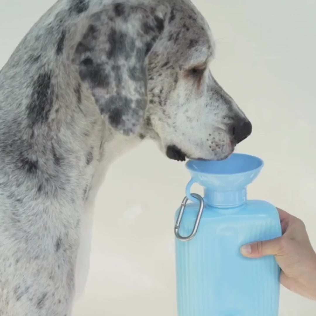 44oz Original Dog Travel Water Bottle