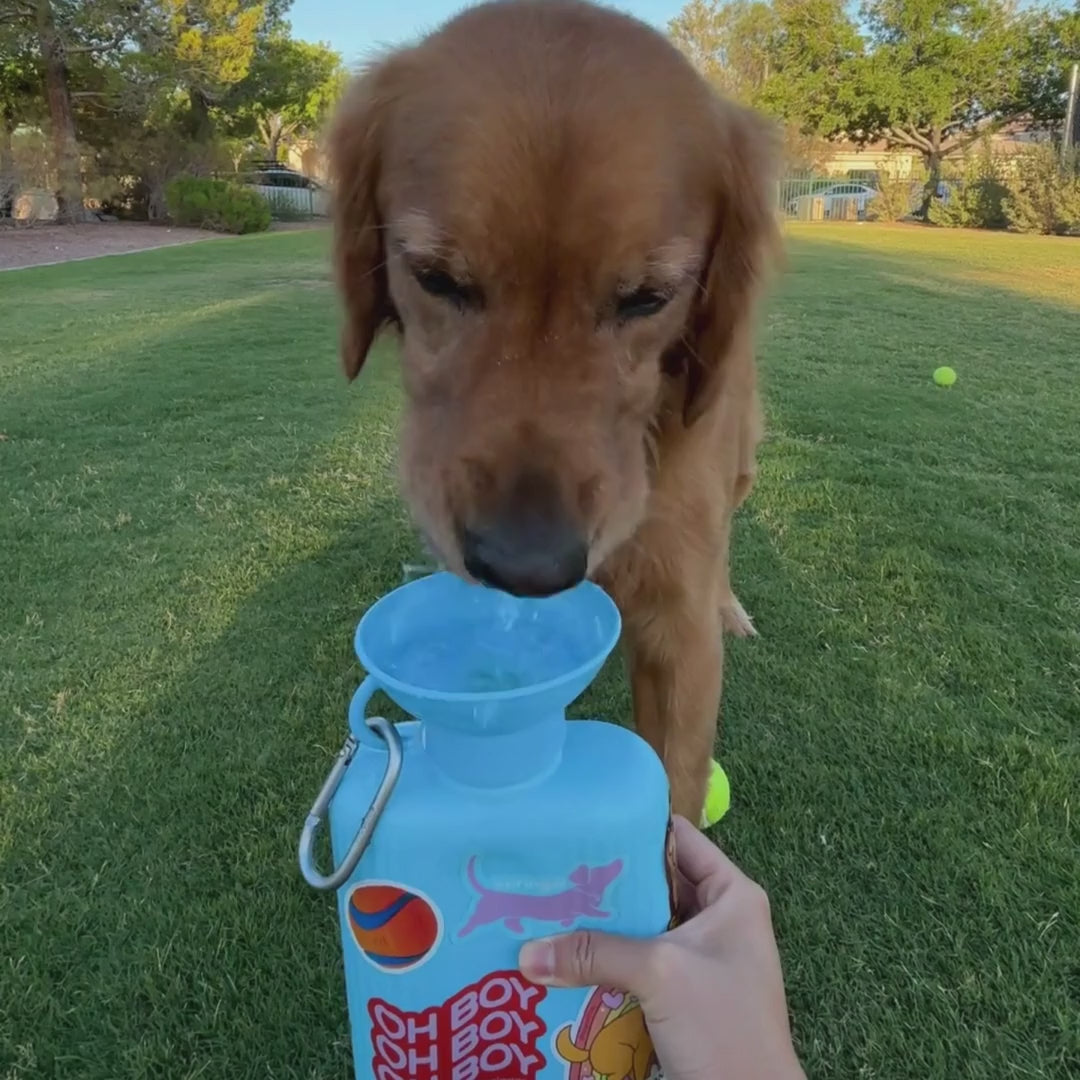 44oz Original Dog Travel Water Bottle