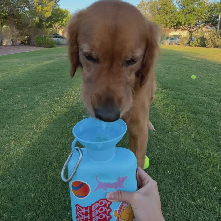 44oz Original Dog Travel Water Bottle