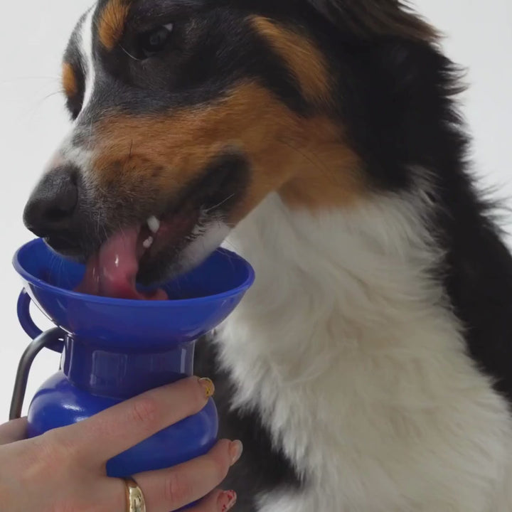 22oz Original Dog Travel Water Bottle