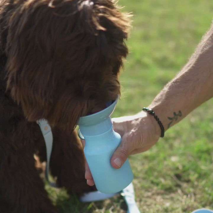 15oz Original Dog Travel Water Bottle