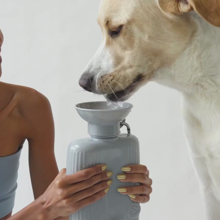 44oz Original Dog Travel Water Bottle