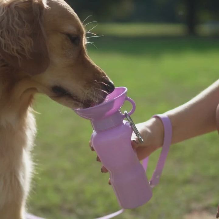 22oz Original Dog Travel Water Bottle