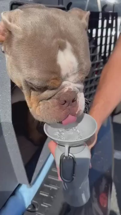 22oz Original Dog Travel Water Bottle
