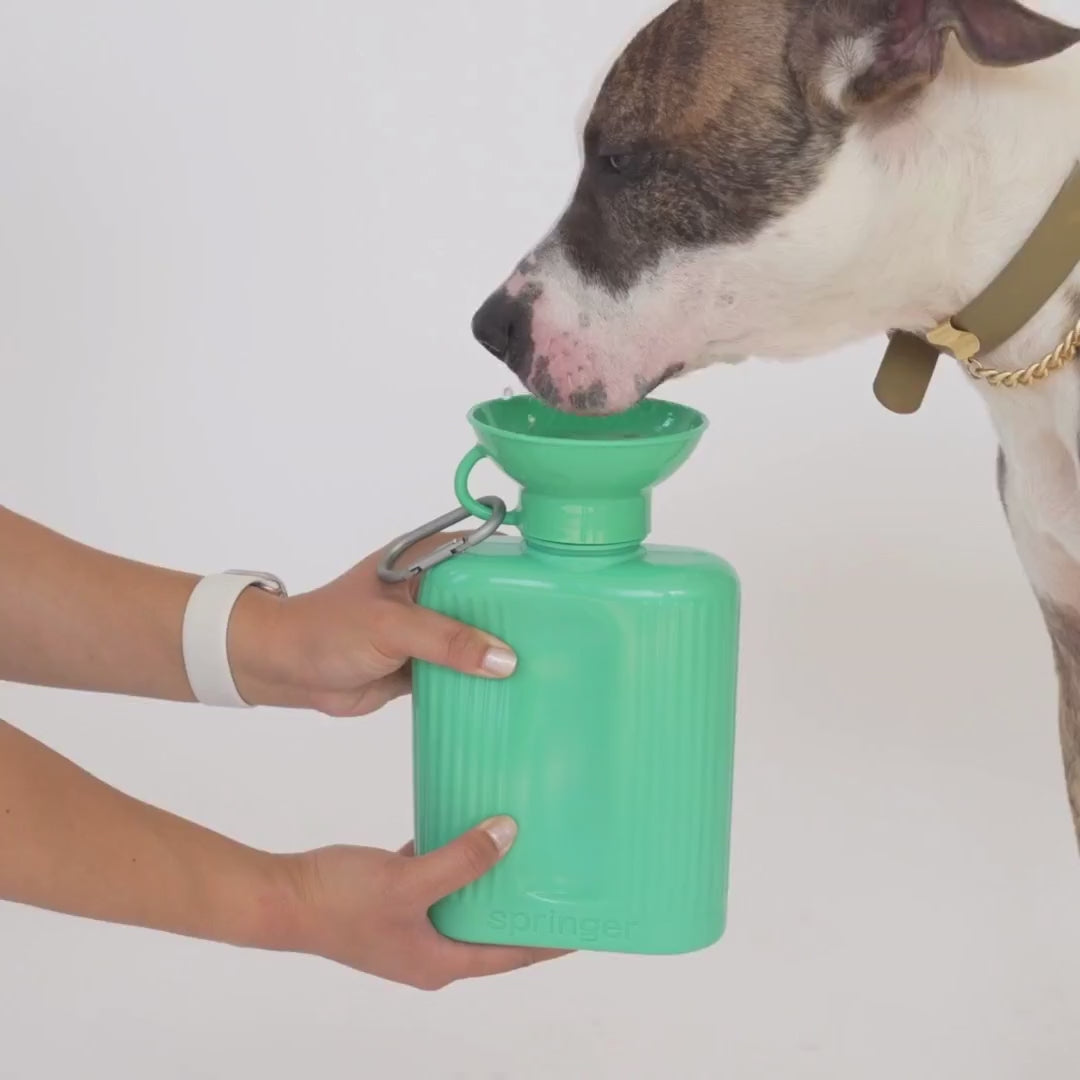 44oz Original Dog Travel Water Bottle