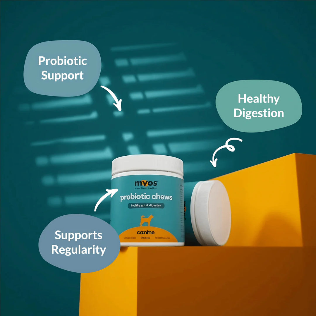 MYOS Canine Probiotic Chews