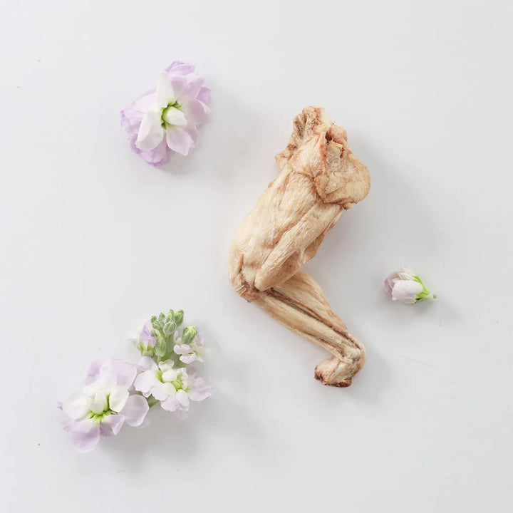 Frog Legs