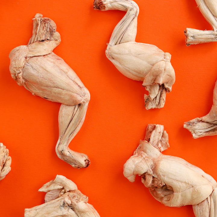 Frog Legs