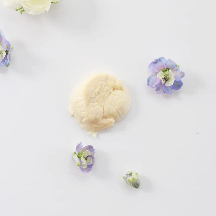 Hokkaido Scallop