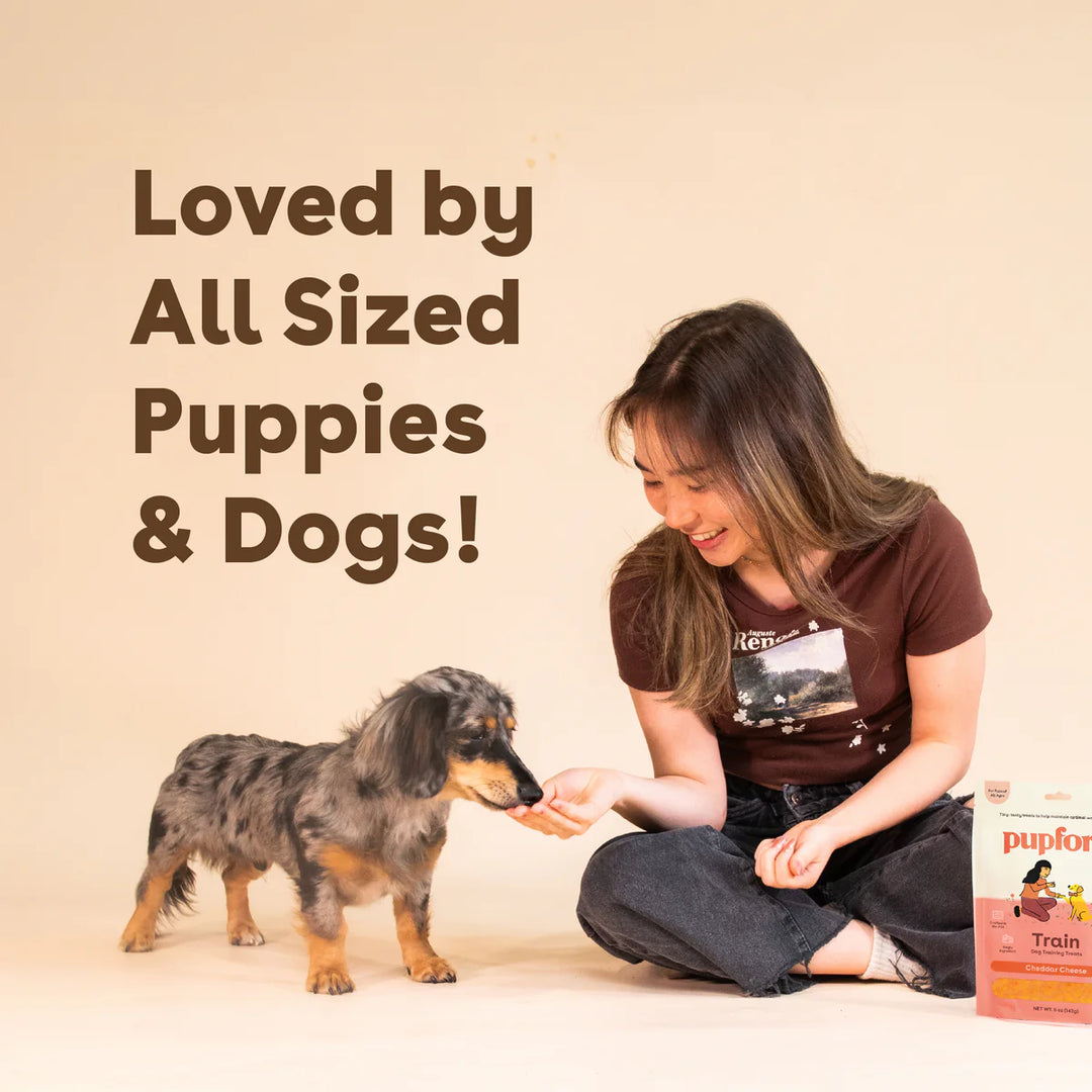Freeze Dried Cheddar Training Treats