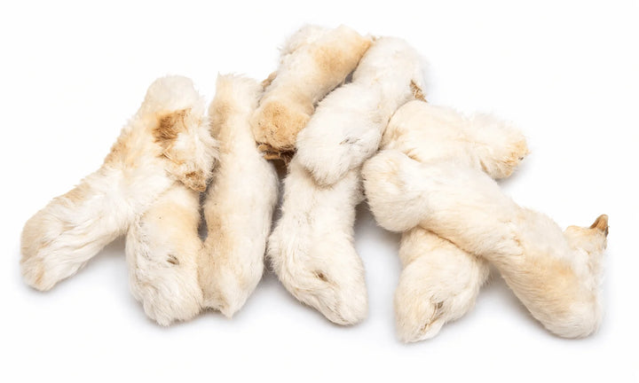 Rabbit Feet
