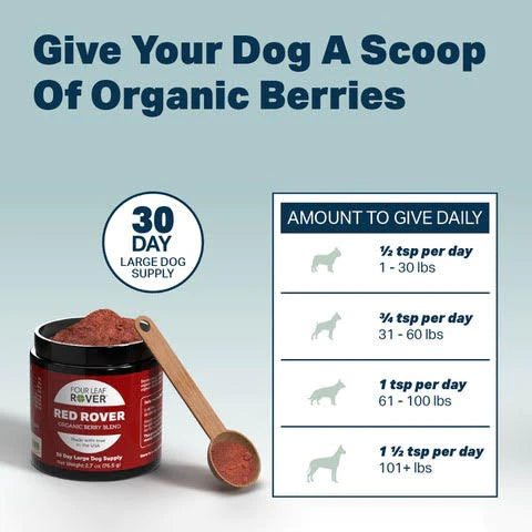 Red Rover - Organic Berries For Dogs