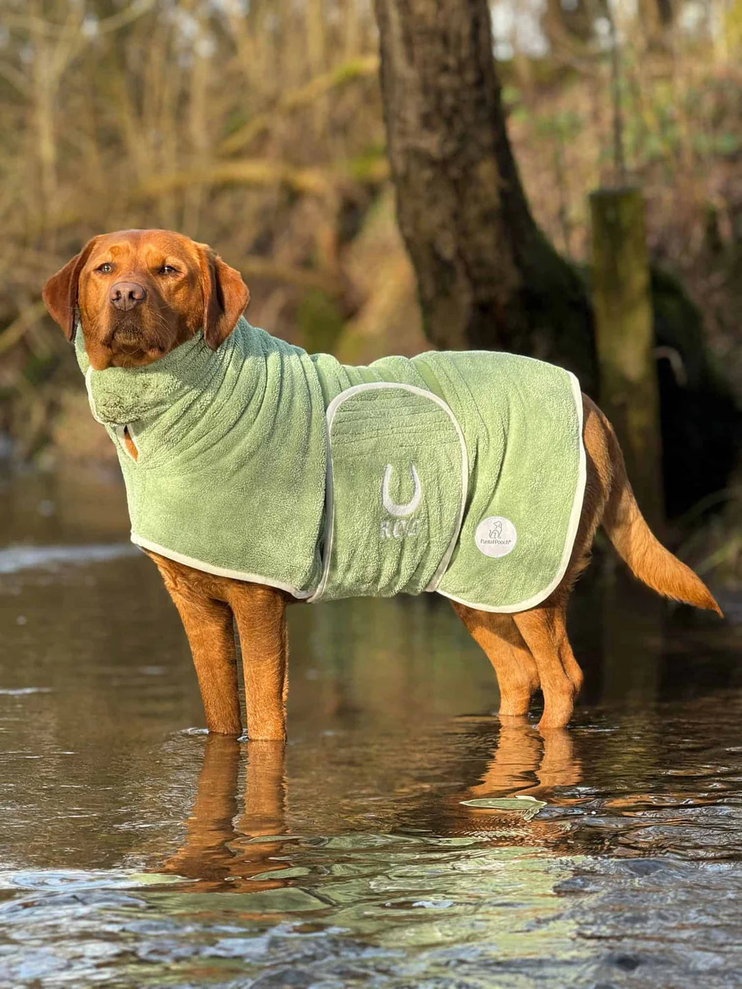 Dog Drying Coat | Sage Green