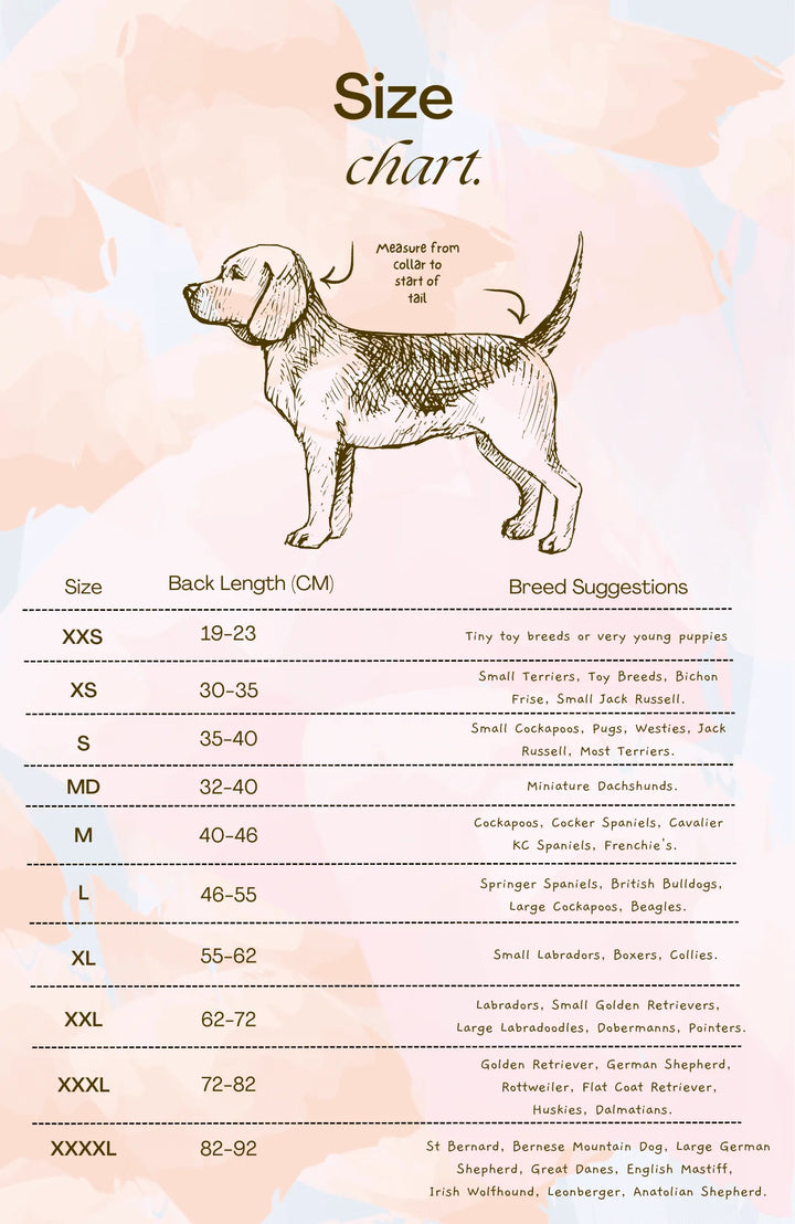 Dog Drying Coat | Butter Yellow