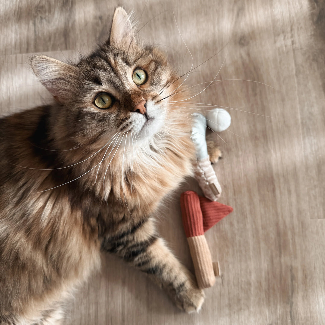 Kitty Golfer