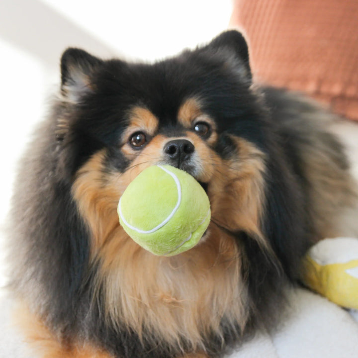 Tennis Pop