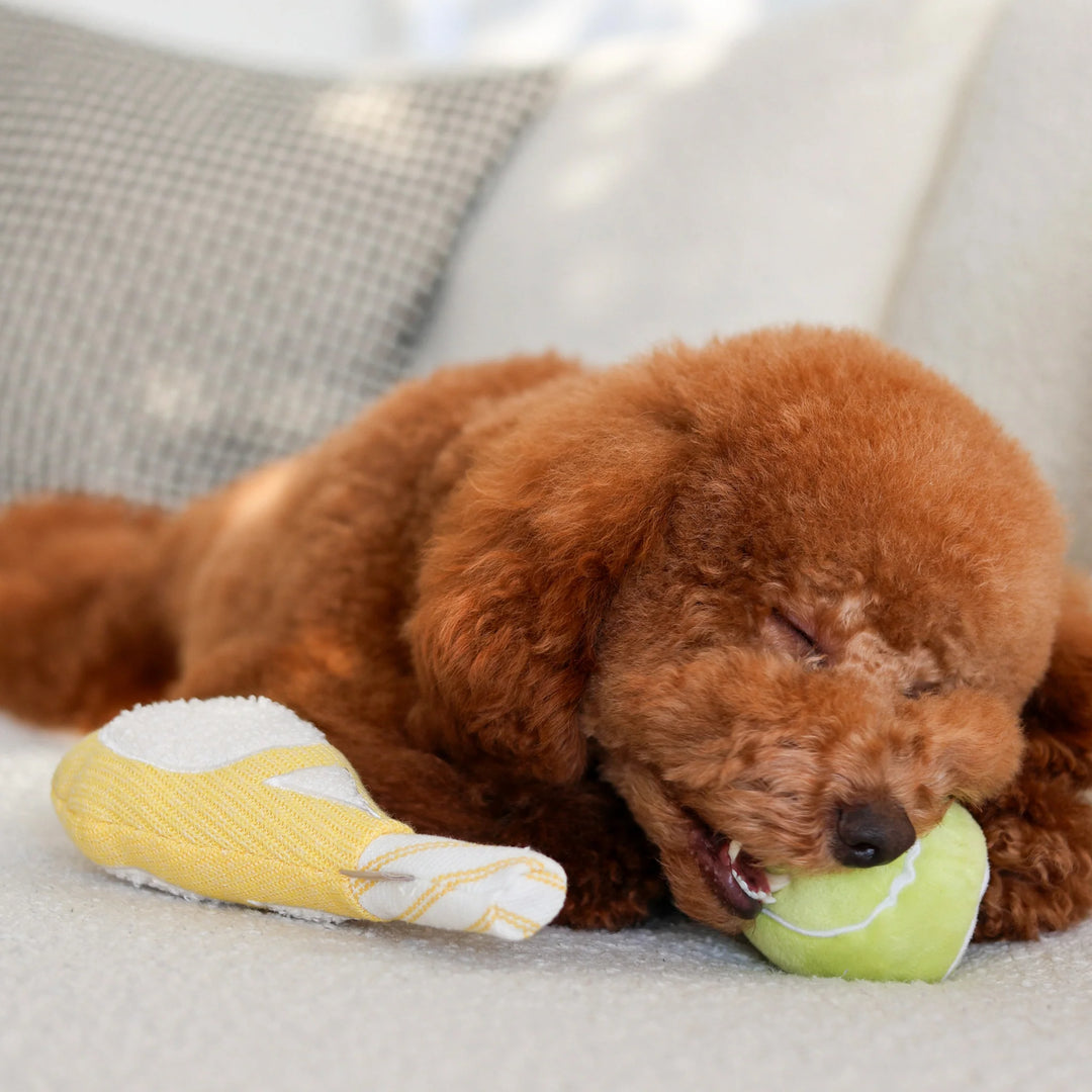 Tennis Pop