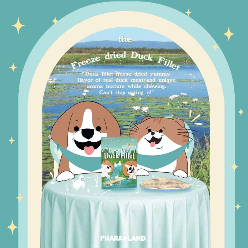 Freeze-Dried Duck Strips