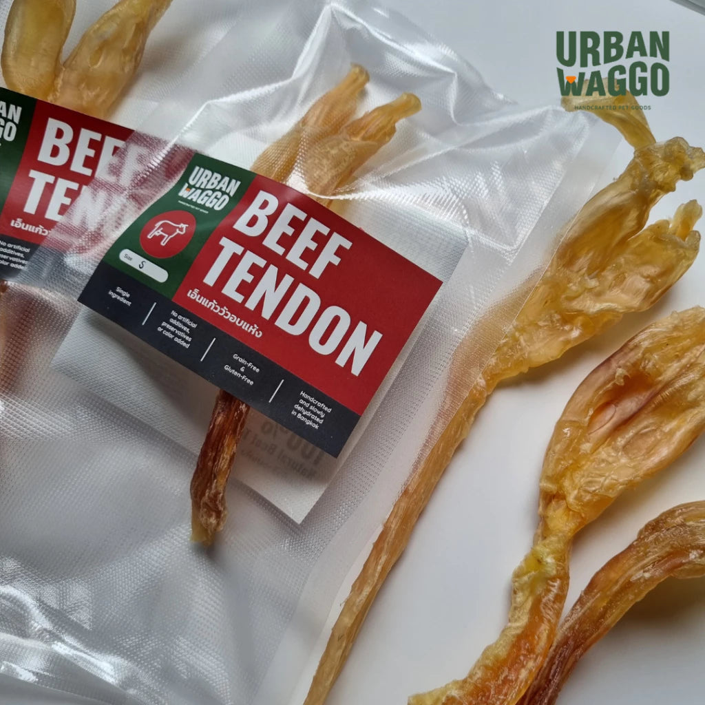 Beef Tendon