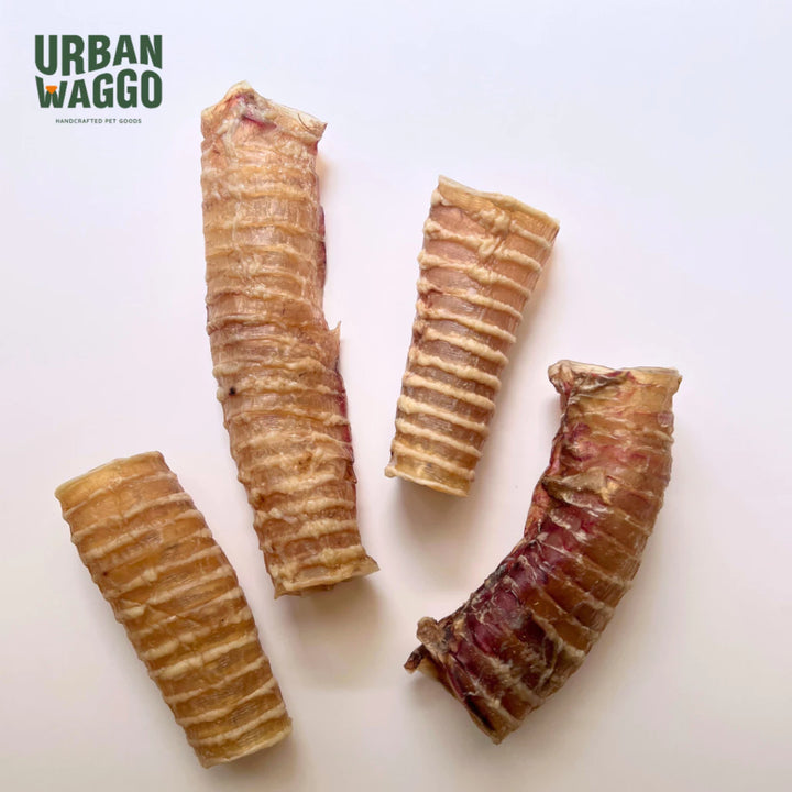 Beef Trachea