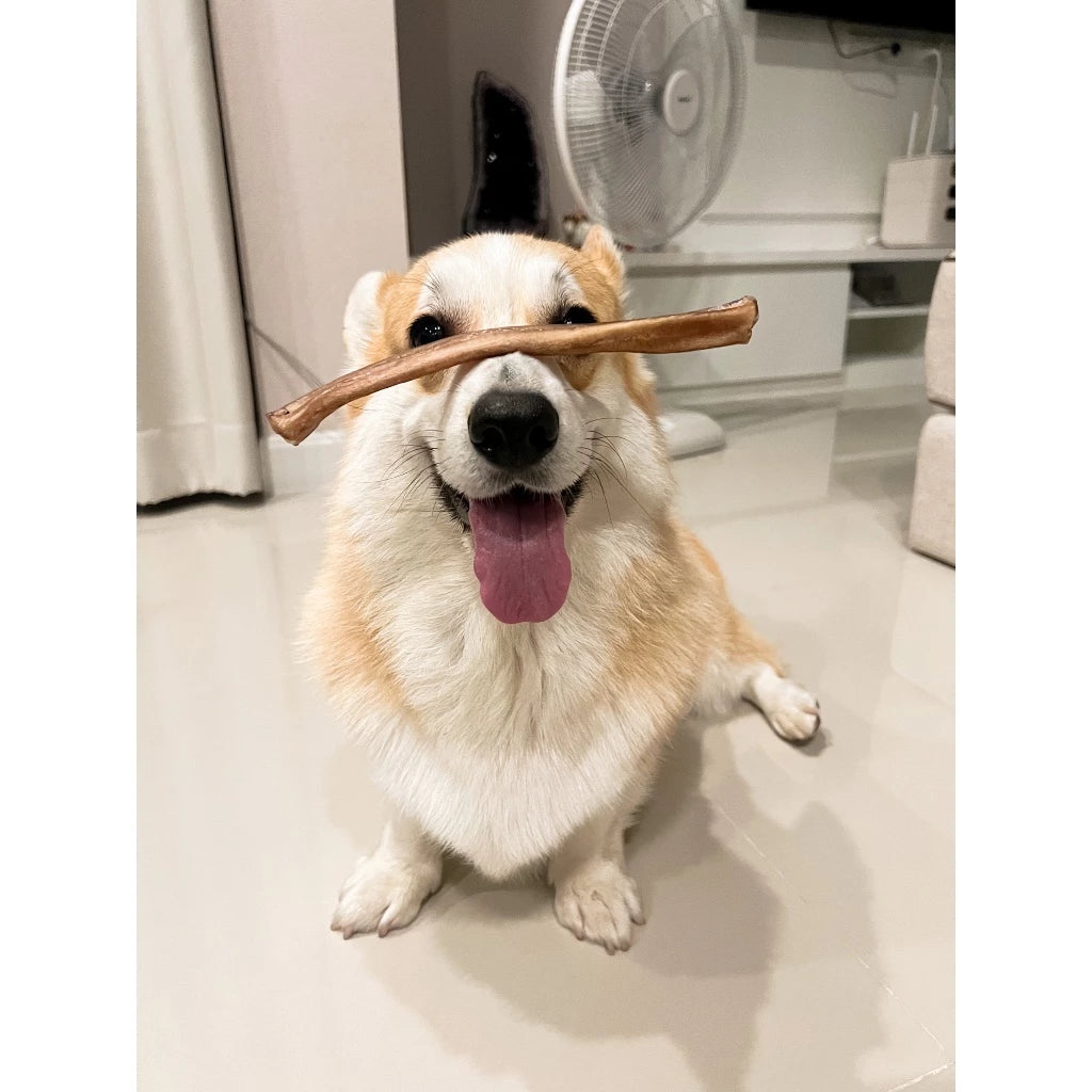 Bully Stick