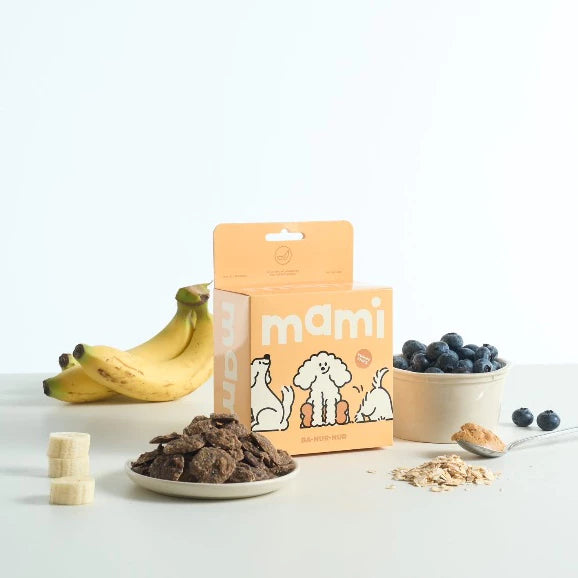 Ba-nur-nur Yummy Chips