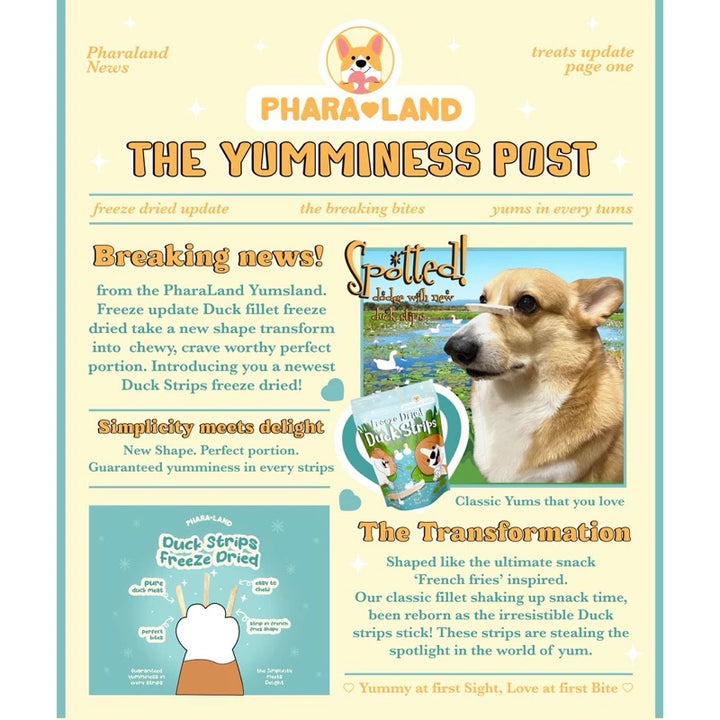 Freeze-Dried Duck Strips