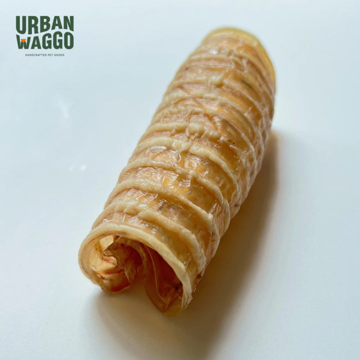 Beef Trachea