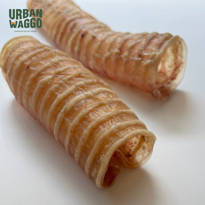 Beef Trachea