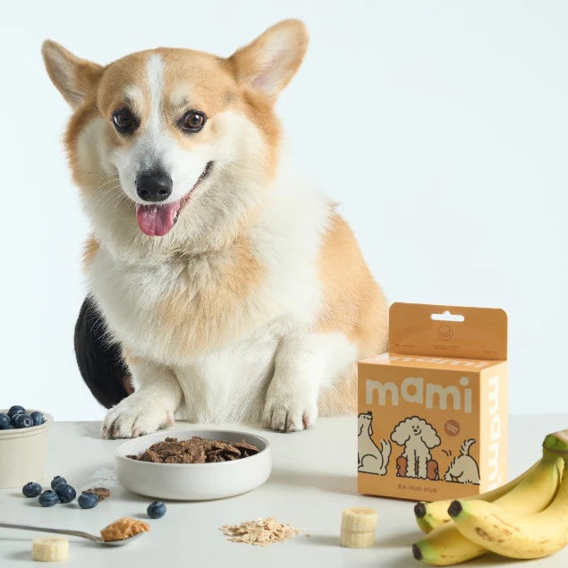 Ba-nur-nur Yummy Chips