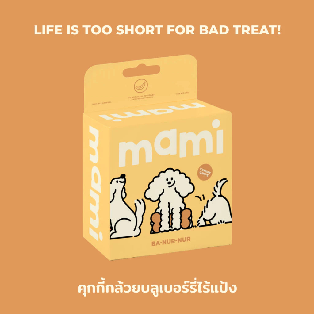 Ba-nur-nur Yummy Chips