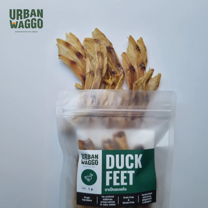 Duck Feet