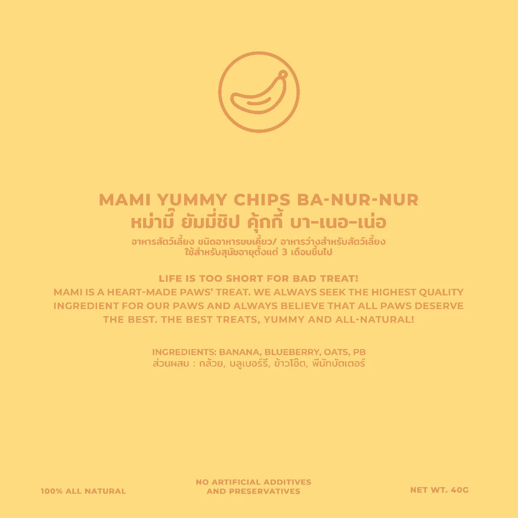 Ba-nur-nur Yummy Chips